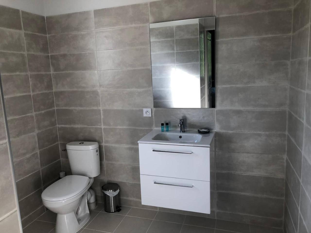 L'Ile Aux Bateaux Bed & Breakfast Buzet-sur-Baise Dış mekan fotoğraf